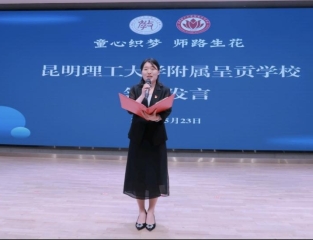 图示, 示意图

中度可信度描述已自动生成:ver1